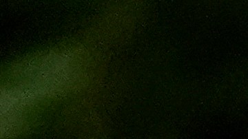 Selena Gomez condenó deportaciones masivas.