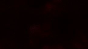 Shakira iniciará este 2025 su gira 'Las mujeres ya no lloran'.