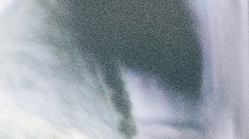 Female coffee roastery owner is busy packing an online order at the counter, while her colleague stands nearby having a chat.