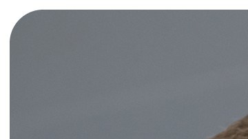 Fiscal Jack Smith y presidente Donald Trump