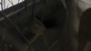 Imagen referencial campo de fútbol amateur.