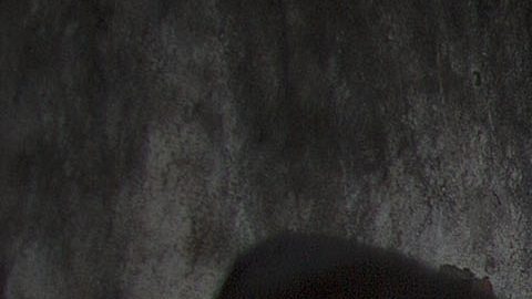 Fútbol amateur en Brasil.