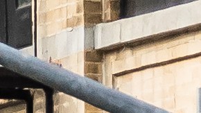 A fin de este mes de enero, una de las tiendas de Starbucks cerrará en Nueva York.