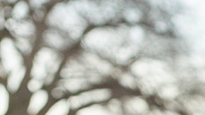 Asesor de Trump espera que Maduro acepte vuelos de deportación de "miembros del Tren de Aragua"