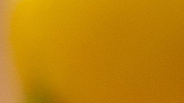 El té de eucalipto está lleno de compuestos que ayudan a combatir infecciones y la inflamación.