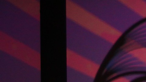 El 16 de enero es considerado el Día Internacional de los Beatles.