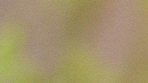 TikTok está prohibido en varios países.