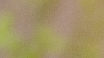 TikTok está prohibido en varios países.