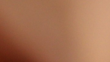 Evita que se forme moho en los tomates enlatados con este sencillo truco.