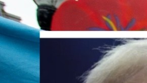 Los documentos oficiales deberán tener reflejado el sexo con el que nacieron.