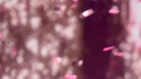 Tyra Banks reveló que perdió su casa.