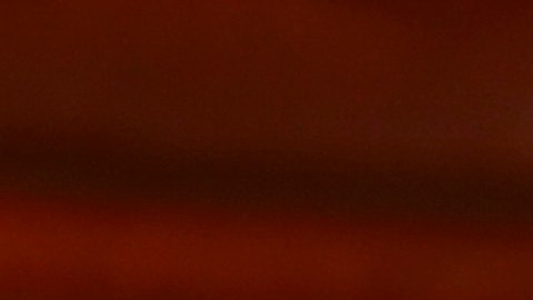 Zendaya y Tom Holland se conocieron en 2016.