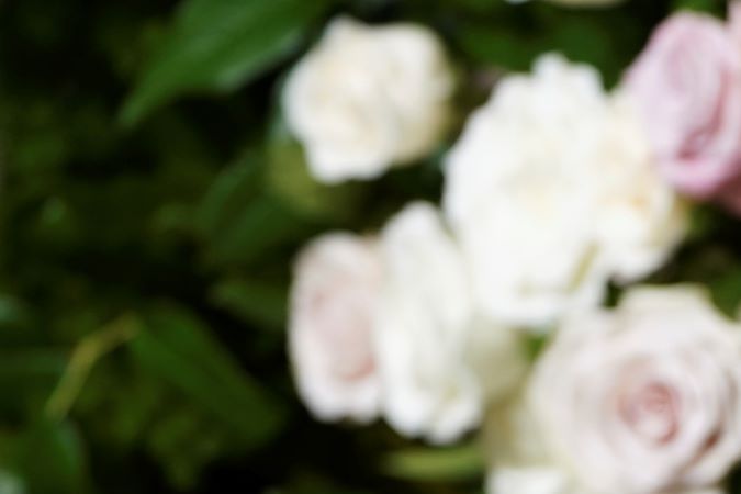 Zoe Saldaña ganó por su papel en Emilia Pérez.