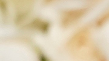 Zoe Saldaña fue la primera actriz premiada de la noche por su papel en Emilia Pérez.