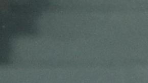 Santiago Giménez celebra el gol frente al Lille en Champions League.