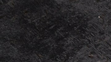 Hay 8 alimentos antiinflamatorios que se puede incluir en la dieta diaria.