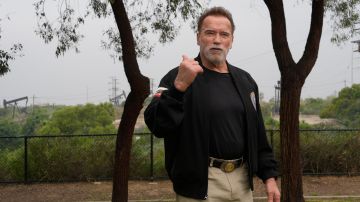 La donación de Arnold Schwarzenegger será distribuirá entre tres fundaciones.
