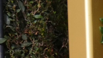 Ashley Graham lució radiante en los Golden Globes 2025.