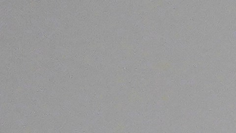La postal de Bad Bunny rápidamente se viralizó.