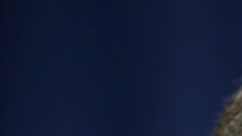 Cuba dice que anuncio de EE.UU. sobre países patrocinadores de terrorismo