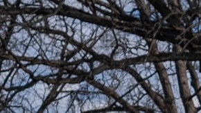 Washington refuerza su seguridad: se prepara para la certificación de resultados