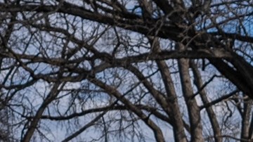 Washington refuerza su seguridad: se prepara para la certificación de resultados