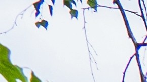 Amazon ofrece una casa de dos pisos en $55,999.