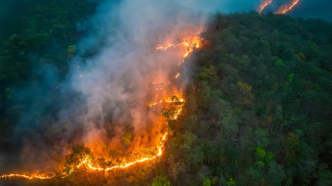 cheque-de-estimulo-770-dolares-joe-biden-incendios-california