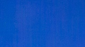 Buck Woodall pide a Disney $10 mil millones de dólares, o el 2.5 por ciento de los ingresos brutos de “Moana”.