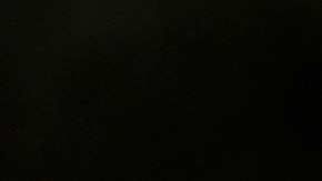 $TRUMP: la criptomoneda meme se convierte en fenómeno con miles de millones de dólares