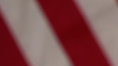 Donald Trump no gestionará su empresa ni sus inversiones durante su mandato