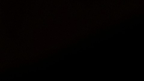 ¿Donald Trump sufrirá otro atentado? La predicción de una reconocida vidente