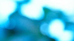 Donald Trump sacará a EE.UU. del Acuerdo de París y recibe el rechazo de la ONU