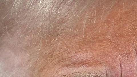 Donald Trump visitará zonas devastadas por los incendios en Los Ángeles