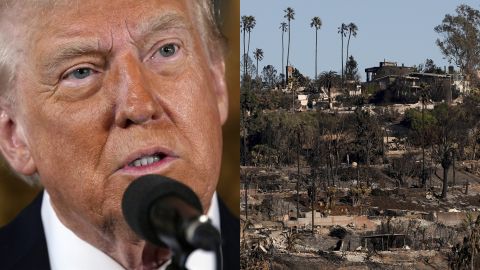 Donald Trump visitará zonas devastadas por los incendios en Los Ángeles