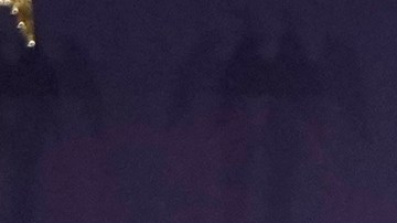 Donald Trump: Los colombianos deportados son asesinos, narcotraficantes y pandilleros