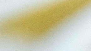 Discurso de investidura de Donald Trump en el Capitolio sufre inesperado cambio