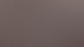 Edmundo González publica video para desmentir accidente en Washington