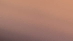 El hígado de rape fue distribuido en tiendas minoristas en Florida, Georgia, Maryland, Nueva Jersey y Nueva York.