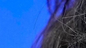 Javier Milei agradece gestión de Trump para liberar a argentinos cautivos en Gaza