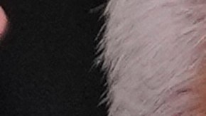 Presidente de Panamá responde a Trump: El canal es y seguirá siendo nuestro