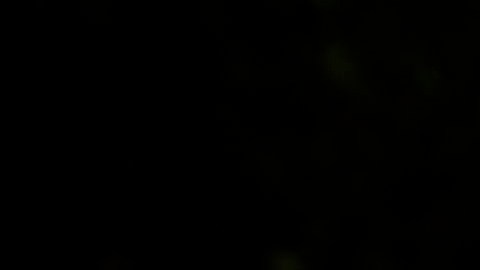 El príncipe Harry y Meghan Markle podrían verse obligados a evacuar su mansión en Montecito.