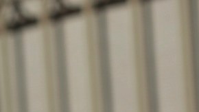 La aplicación CBP One deja de funcionar tras la investidura de Donald Trump