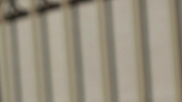 La aplicación CBP One deja de funcionar tras la investidura de Donald Trump