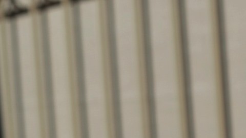 La aplicación CBP One deja de funcionar tras la investidura de Donald Trump