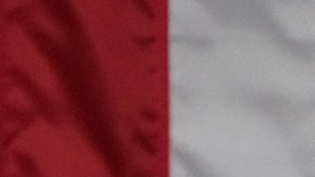 Mike Johnson es reelecto como presidente de la Cámara de Representantes de EE.UU.