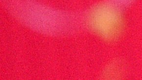 Miles de usuarios están mostrando su apoyo masivo a la propuesta de MrBeast.