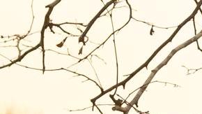 Un bombero examina un bajo encontrado entre los restos de una casa destruida por el incendio forestal de Eaton en Altadena, California, EE.UU., el 09 de enero de 2025.