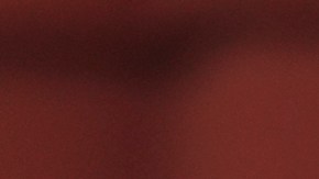 Régimen de Venezuela rechaza apoyo de Joe Biden a Edmundo González