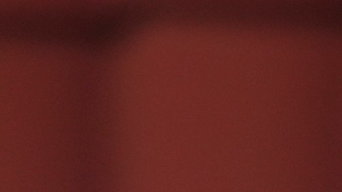 Régimen de Venezuela rechaza apoyo de Joe Biden a Edmundo González
